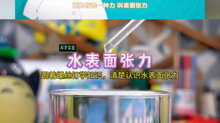 What is water’s surface tension? Watch this and you’ll understand!