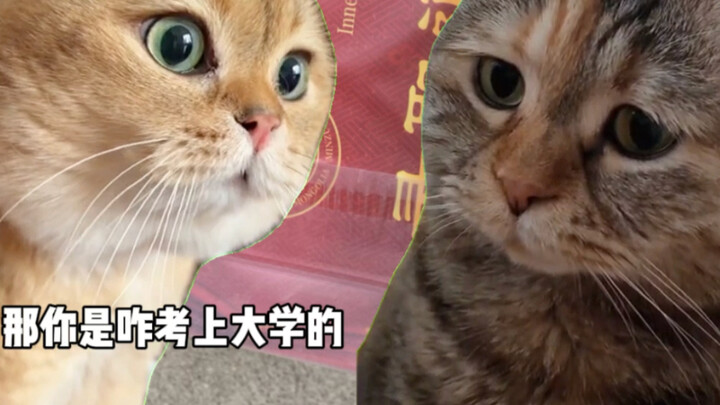 ม.ปลายเริ่มเรียนตอนแปดโมง เชื่อไหมล่ะ?