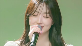 Video trực tiếp NMIXX Ngô Hải Viên trình diễn "Love Me Like This + May mắn thật tốt + 0310 + Dream" 