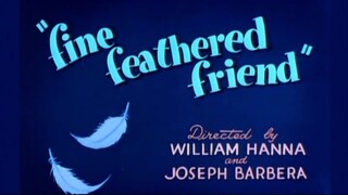 Tom and Jerry Episode 8 Fine Feathered Friend