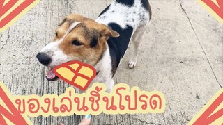 โลกของแสนดี ตอน โชว์ของเล่นสุดโปรด