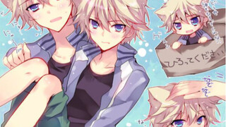 【正太】谁不喜欢猫猫呢？