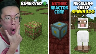 TERNYATA INILAH 35 Item yang HANYA ADA di Minecraft Bedrock (Selain Education Edition)