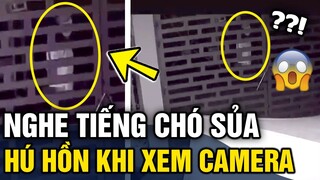 Nghe tiếng 'CHÓ SỦA' inh ỏi, gia chủ check camera thấy 'BÓNG TRẮNG' trước cửa | Tin 3 Phút