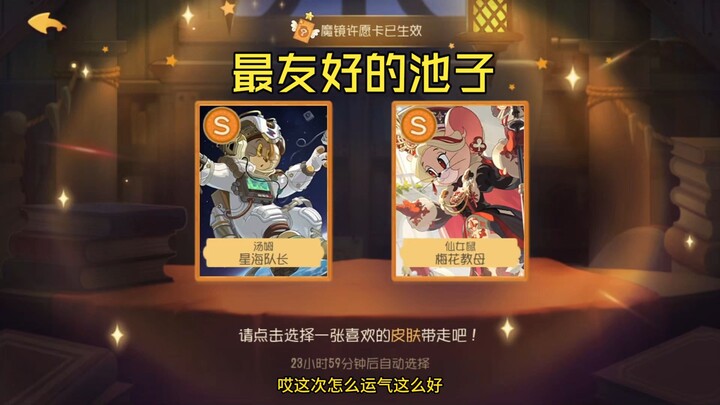 【แมวกับหนู】เล่นเกมต้องหัวเราะเสมอ โดยเฉพาะกับแมวกับหนู