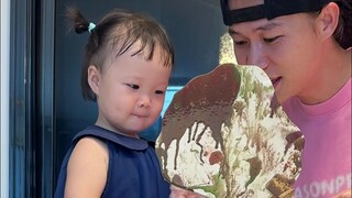 在家就能体验的 #非遗 #漆扇 #总要体验一次非遗漆扇吧
