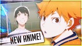 NEW Haikyuu Style Anime RELEASES New Visuals & Footage! 2.43 Seiin High School Volley Ball Club!
