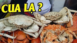 Xuất Hiện Cua Lạ 2,2 Triệu/Kg Cực Qúy Hiếm Ở Quán Tôm Hùm Vỉa Hè Sài Gòn