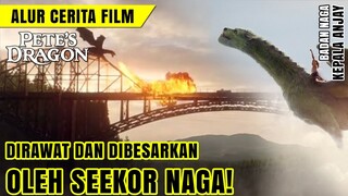 ARTI PERSAHABATAN, KELUARGA, DAN KASIH SAYANG || Alur cerita film Pete's Dragon (2016)