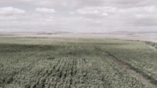 อันนี้ด่าไม่ได้ นี่มันดวงดีล้วนๆ!