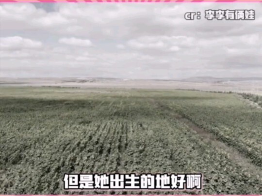 อันนี้ด่าไม่ได้ นี่มันดวงดีล้วนๆ!