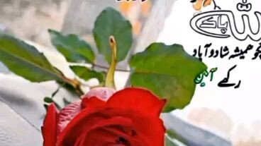 Assalamualaikum Good Morning
