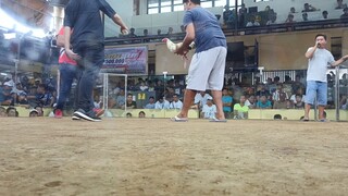 Metro Darasa Cockpit Arena 5 Cock Super Big Event June 8, 2025 3rd fight W