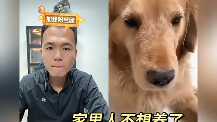 ฉันไม่อยากส่งมันไป ฉันแค่อยากทำให้มันมีความสุขขึ้น