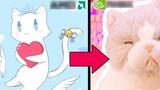 The cat in [Snow White Arya] is exposed?! It's surprising after turning off the beauty filter