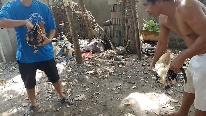 spar sakabuntagon