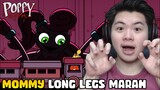 MOMMY LONG LEGS MENCULIK HUGGY WUGGY!! | Poppy Playtime (Chapter 2) Animation
