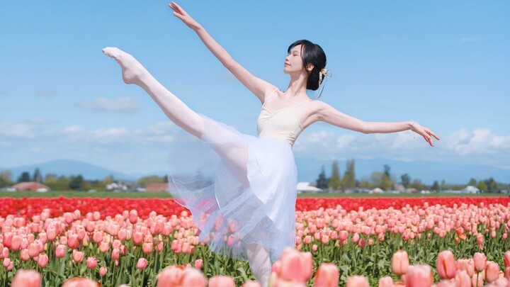 Jadilah seorang putri di ladang tulip "Bantal Dongeng"
