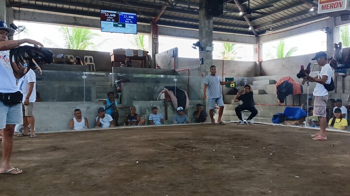 My Owned Blend (DRAW) San Andres Cockpit Arena (Quezon Province)