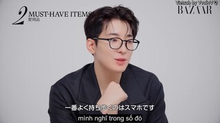 [VIETSUB by VvcỏvV] 10 điều WONWOO (Seventeen) yêu thích🐈‍⬛｜Harper's BAZAAR Japan