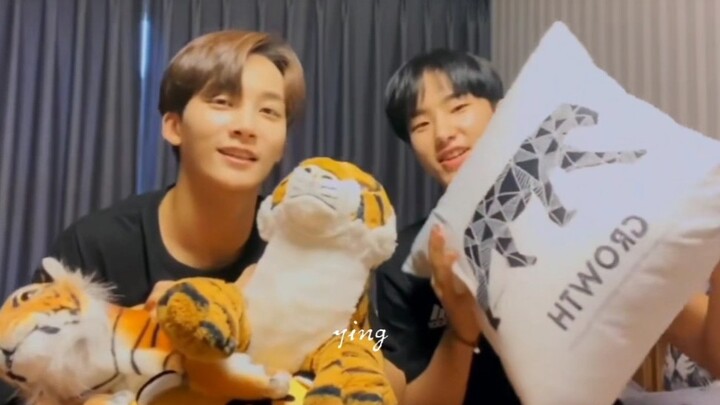ห้องโฮชิมีเสือเยอะเหมือนกันนะ ฮ่าๆๆ