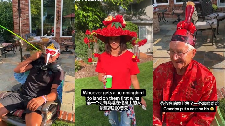 Berikan sedikit godaan mematikan ala manusia kepada burung kolibri