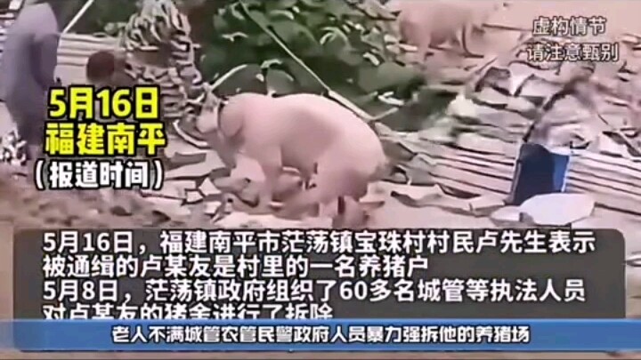 60 urban management officers forcibly demolished an elderly man’s pig farm. In a fit of anger, the o