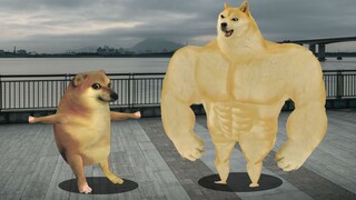 什么是兄弟情，什么是两肋插刀