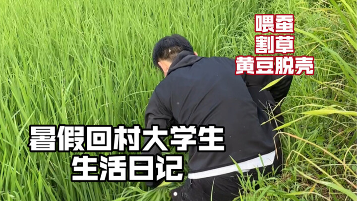 วันนี้ให้อาหารหนอนไหม เกี่ยวหญ้า ช่วยคุณย่ากะเทาะเปลือกถั่วเหลือง แล้วยังพาพี่ชายไปตัดผมด้วย ช่วงที่