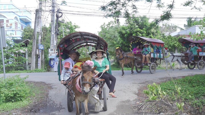 CƯỠI NGỰA ĐI HỎI VỢ Ở MIỀN TÂY | Chuyện Phương Kể