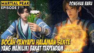 YANG KAI BOCAH TUKANG SAPU SEKTE MENJADI SEORANG IMMORTAL - ALUR CERITA DONGHUA MARTIAL PEAK EPS 1