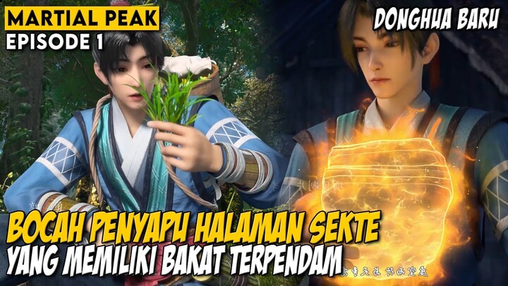 YANG KAI BOCAH TUKANG SAPU SEKTE MENJADI SEORANG IMMORTAL - ALUR CERITA DONGHUA MARTIAL PEAK EPS 1