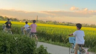 我的童年，永远对我关闭了。