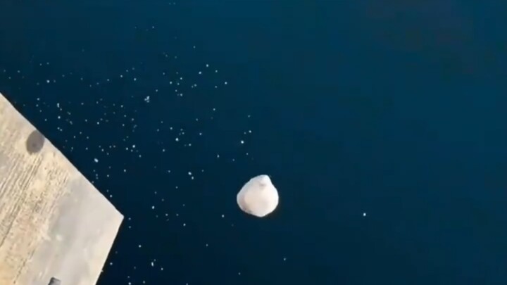 Knowing there's ice, why don't you avoid it?