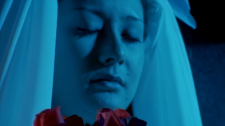 [4k live quality] Love rises with the wind, but it is hard to calm down when the wind stops...