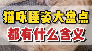 A comprehensive analysis of cat sleeping positions. Let’s see which one your cat belongs to.