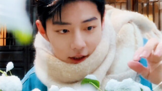 I once met a little rabbit on a snowy day, and it has been engraved in my heart forever｜Xiao Zhan
