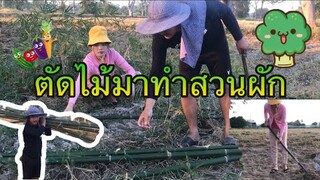 พาไปตัดไม้อยู่นาไปทำแปลงผักชีวิตบ้านๆอยู่แบบพอเพียง❤️#น้องอิ๋ว#บ่าวเคน