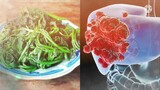 Công dụng của Rau lang và một số món ăn ngon từ rau khoai lang | Thanh đồng vlog