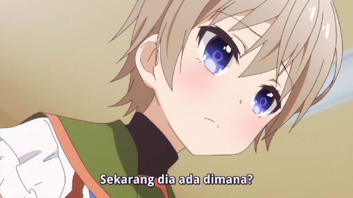 kebenaran tentang megu-ne