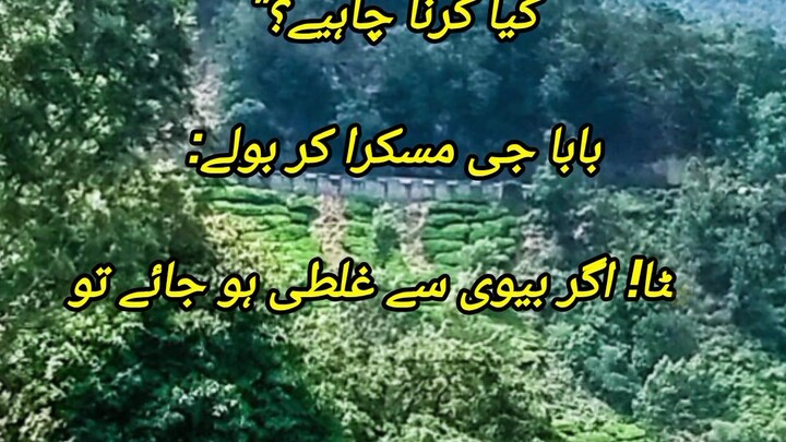 بیوی سے غلطی اور صبر کی حقیقت | Urdu Quotes Status #Shorts #UrduQuotes #IslamicStatus #MuhammadWaris