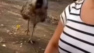 ไดอารี่ชีวิต