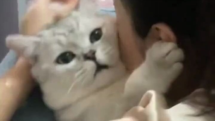 Không nỗ lực thì sẽ chỉ trở thành món đồ chơi của phụ nữ.