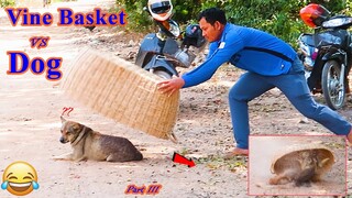 Huge Handmade Basket Vs Prank Sleep Dog, Best Funny Video, Try To Not Laugh