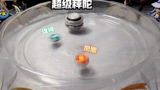 The super weighing top "Thousand-faced Mirror" top wakes up, and 27 little top warriors rise to the 