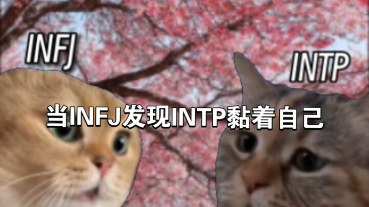 เมื่อ INFJ พบว่า INTP ติดพันอยู่กับตน