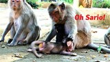 How Hurt of This Adorable Baby Sario Is!, Mother Rana Warns Baby Sario