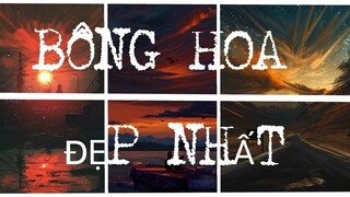 『LYRICS』 BÔNG HOA ĐẸP NHẤT- QUÂN a.p