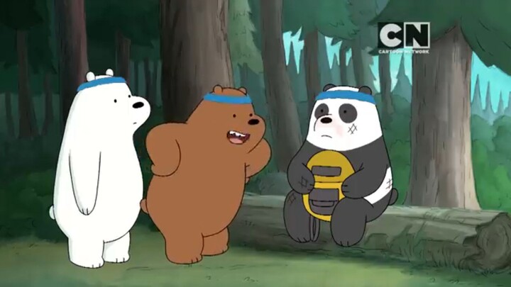 Baer bears