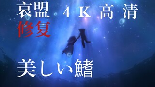 【4K】美 しい 鰭 全 新 版 本